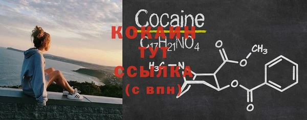 ешки Белокуриха