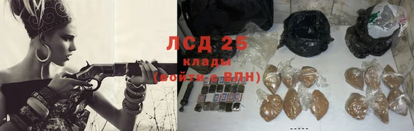 ешки Белокуриха