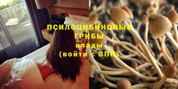 ешки Белокуриха